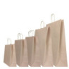 25 SHOPPERS CARTA BIOKRAFT 26X11X34,5CM TWISTED SABBIA