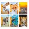 Maxiquaderno A4 36fg+2 100gr 5mm WILD Be More 2024 BM