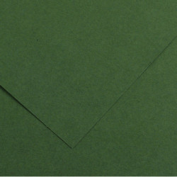 Foglio COLORLINE 70x100 cm 220 gr. 31 Verde abete