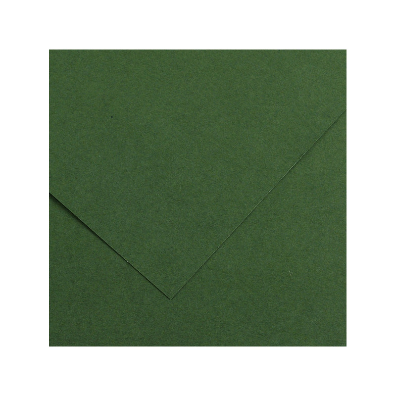 Foglio COLORLINE 70x100 cm 220 gr. 31 Verde abete