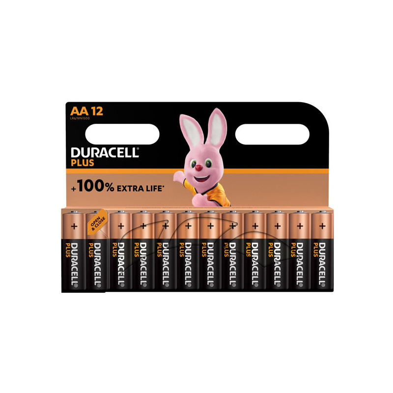 Blister 12 pile Duracell Plus 100 - AA Stilo