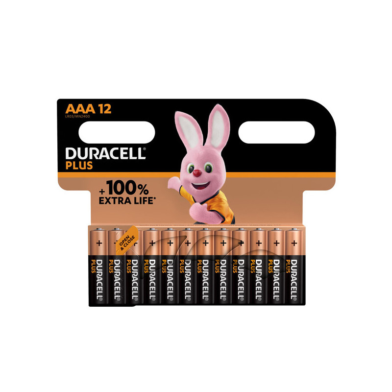 Blister 12 pile Duracell Plus 100 - AAA MiniStilo