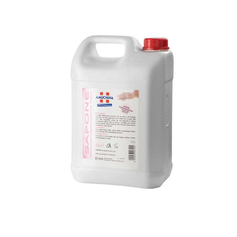 Sapone igienizzante mani Amuchina 5L