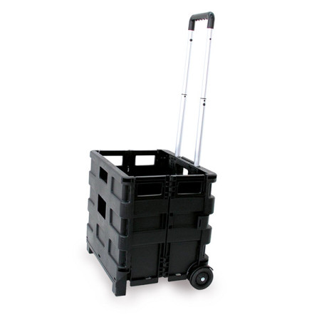 Carrello pieghevole con cassa in plastica portata max 25kg