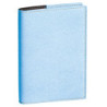 Agenda del Professore 21x27cm Club azzurro 2025 Quo Vadis