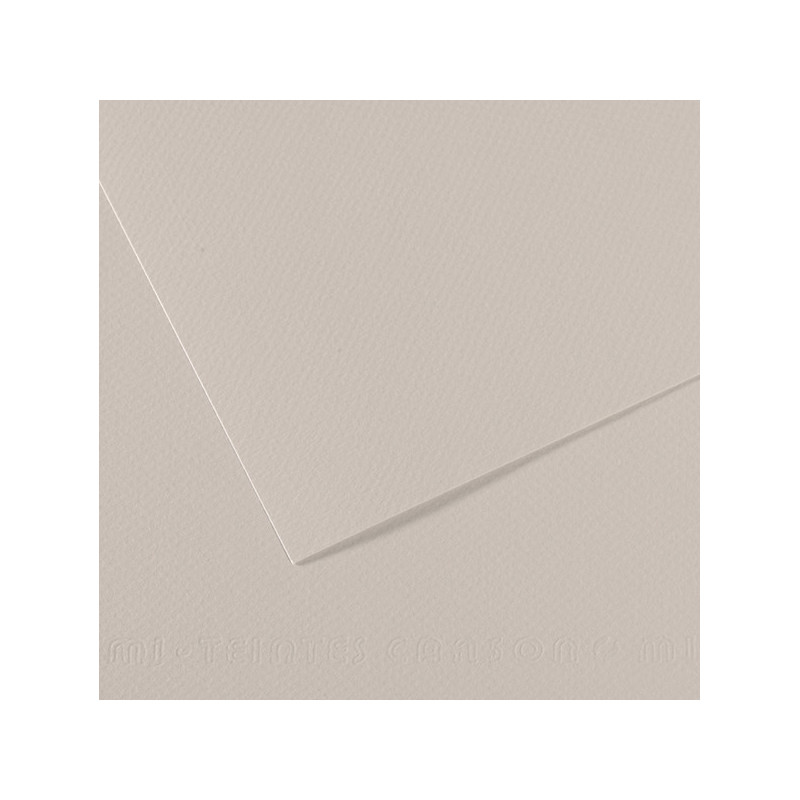 Foglio MI-TEINTES A4 cm 160 gr. 120 grigio perla