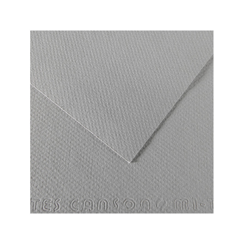 Foglio MI-TEINTES A4 cm 160 gr. 122 grigio flanella