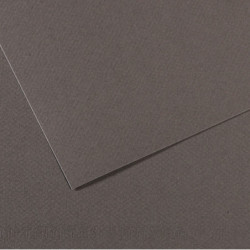 Foglio MI-TEINTES A4 cm 160 gr. 345 grigio ardesia