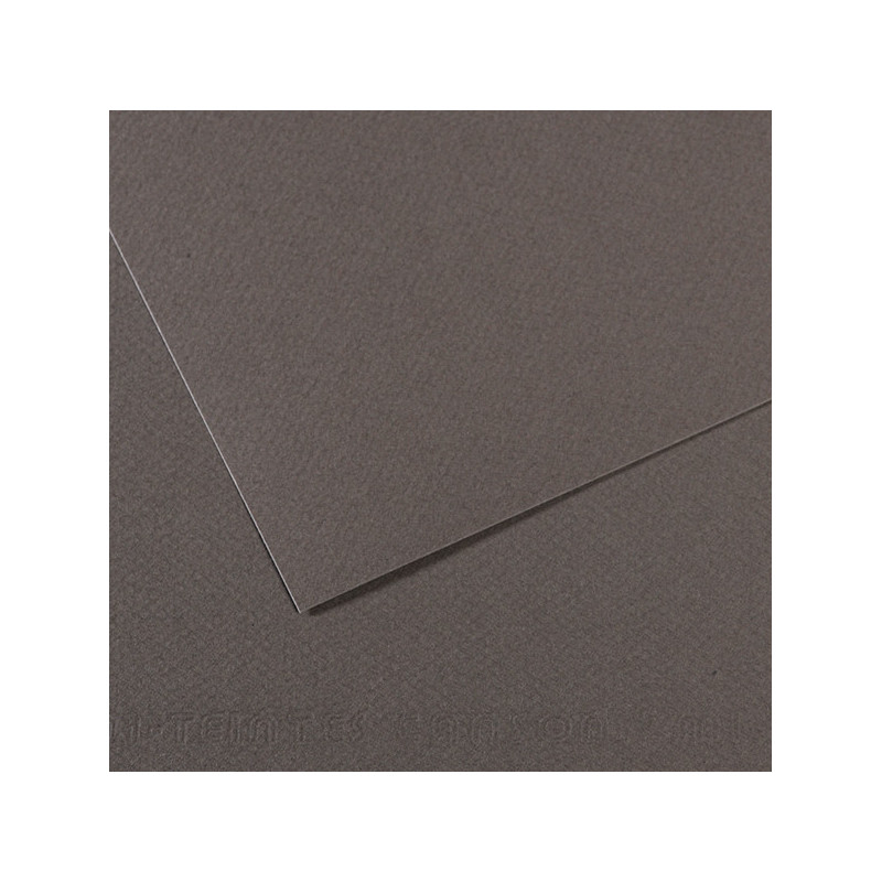 Foglio MI-TEINTES A4 cm 160 gr. 345 grigio ardesia