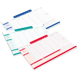 Desk Planner Monocromo da scrivania 42x29,5cm colori assortiti Pigna