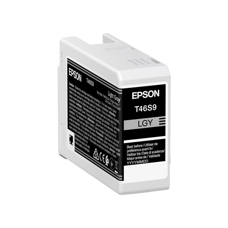 Epson Cartuccia Grigio UltraChrome Pro 10 ink 25ml