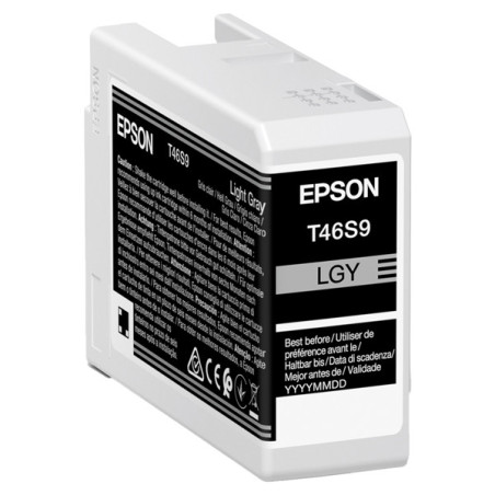 Epson Cartuccia Grigio UltraChrome Pro 10 ink 25ml