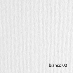 BLISTER 10FG CARTONCINO 70X100 220GR BIANCO 100 FABRIANO ELLE ERRE