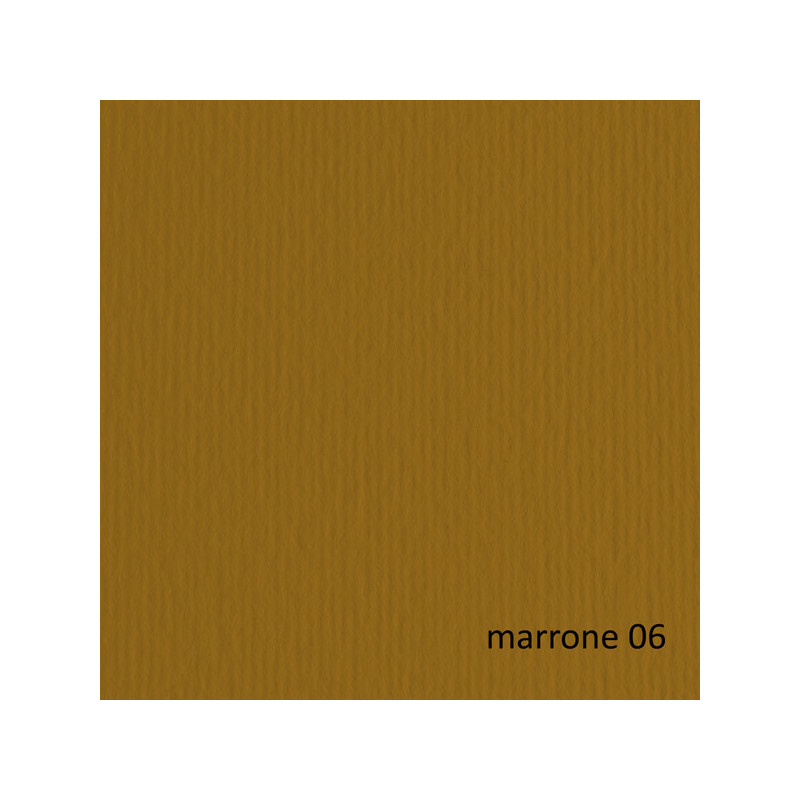 BLISTER 10FG CARTONCINO 70X100 220GR MARRONE 106 FABRIANO ELLE ERRE