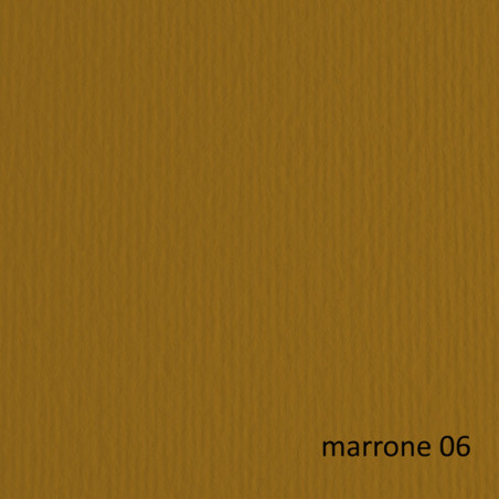 BLISTER 10FG CARTONCINO 70X100 220GR MARRONE 106 FABRIANO ELLE ERRE