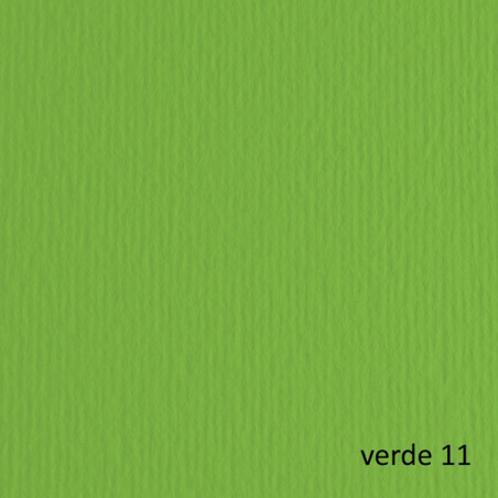 BLISTER 10FG CARTONCINO 70X100 220GR VERDE 111 FABRIANO ELLE ERRE