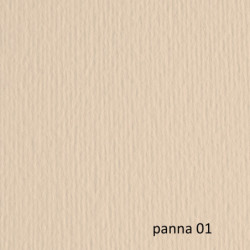 BLISTER 20FG CARTONCINO 50X70 220GR PANNA 101 FABRIANO ELLE ERRE