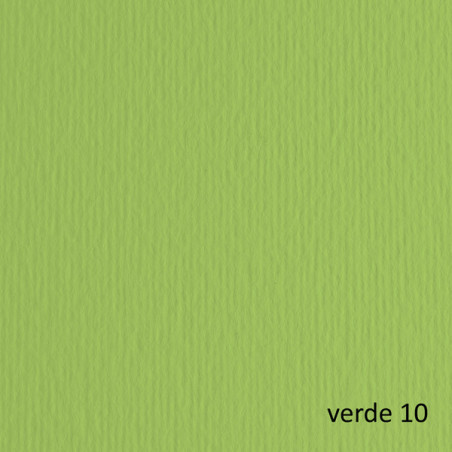 BLISTER 20FG CARTONCINO 50X70 220GR VERDE PISELLO 110 FABRIANO ELLE ERRE