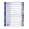 Separatore in PPL traslucido 12 tasti f.to A4 MAXI 24,5x29,7cm ESSELTE