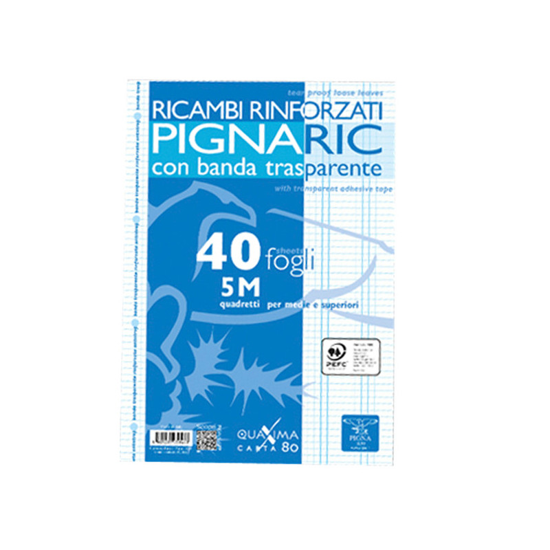 RICAMBI FORATI RINFORZATI A4 5MM 40FG 80GR PIGNARIC