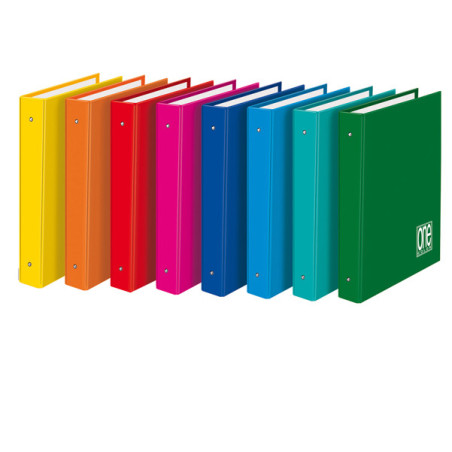 RACCOGLITORE 4 ANELLI 25 18X22CM ONE COLOR 2401 BLASETTI